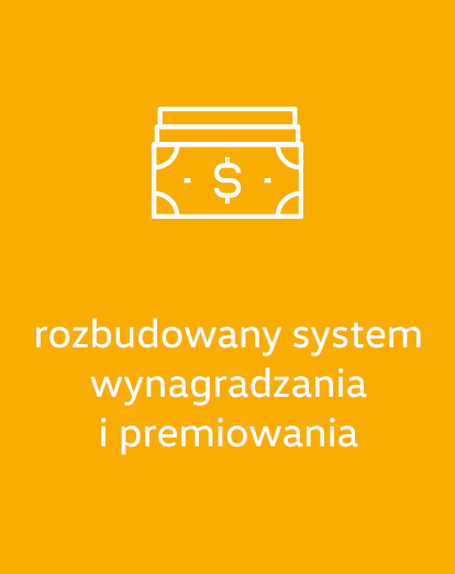 rozbudowany-system-wynagradzania-i-premiowania